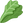 :twe_leafy_green: